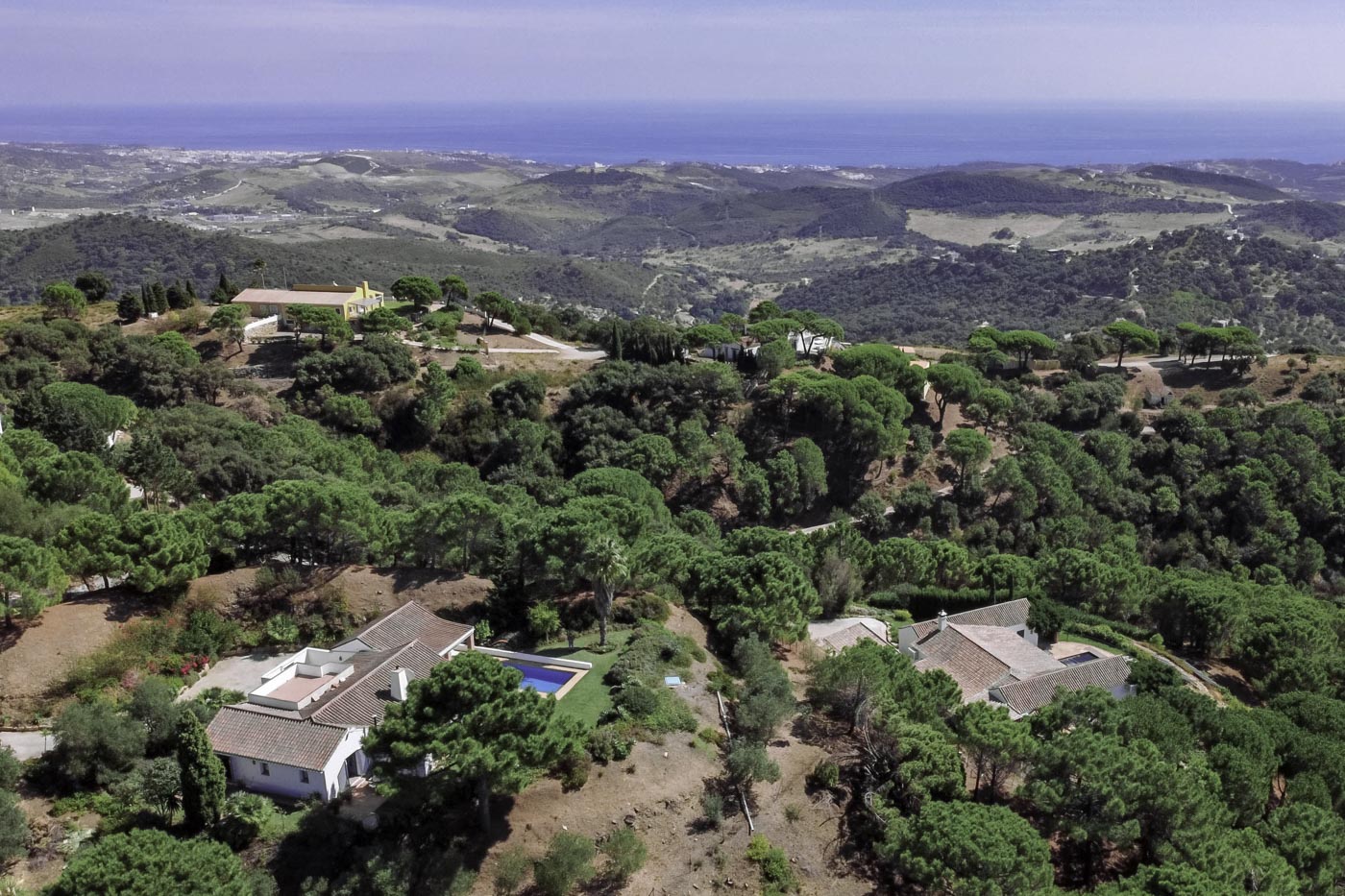 This location enjoys a wonderful mild climate